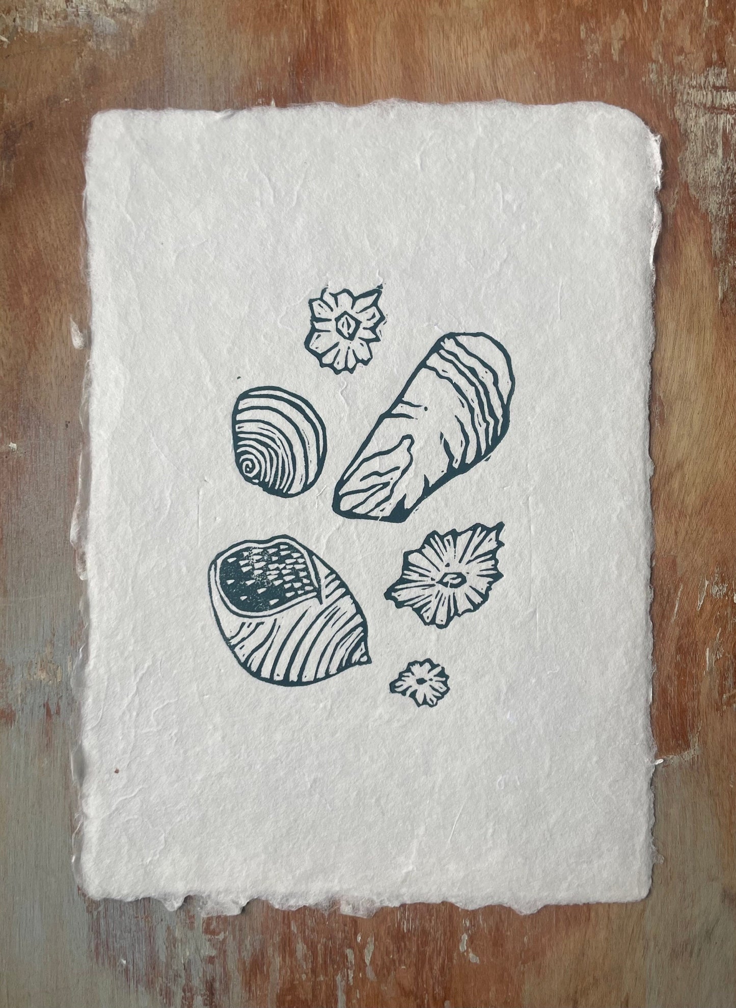 Shells and Barnacles Linocut Print