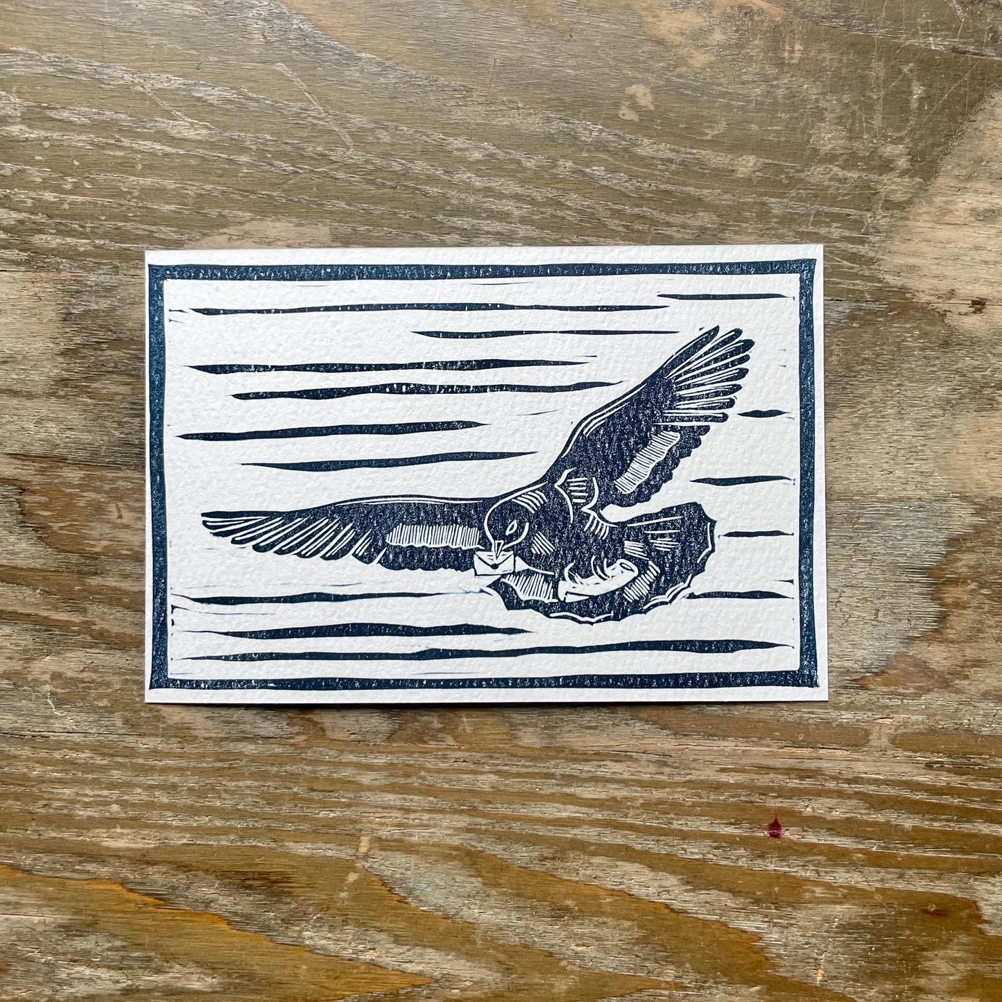 Carrier Pigeon Postcard
