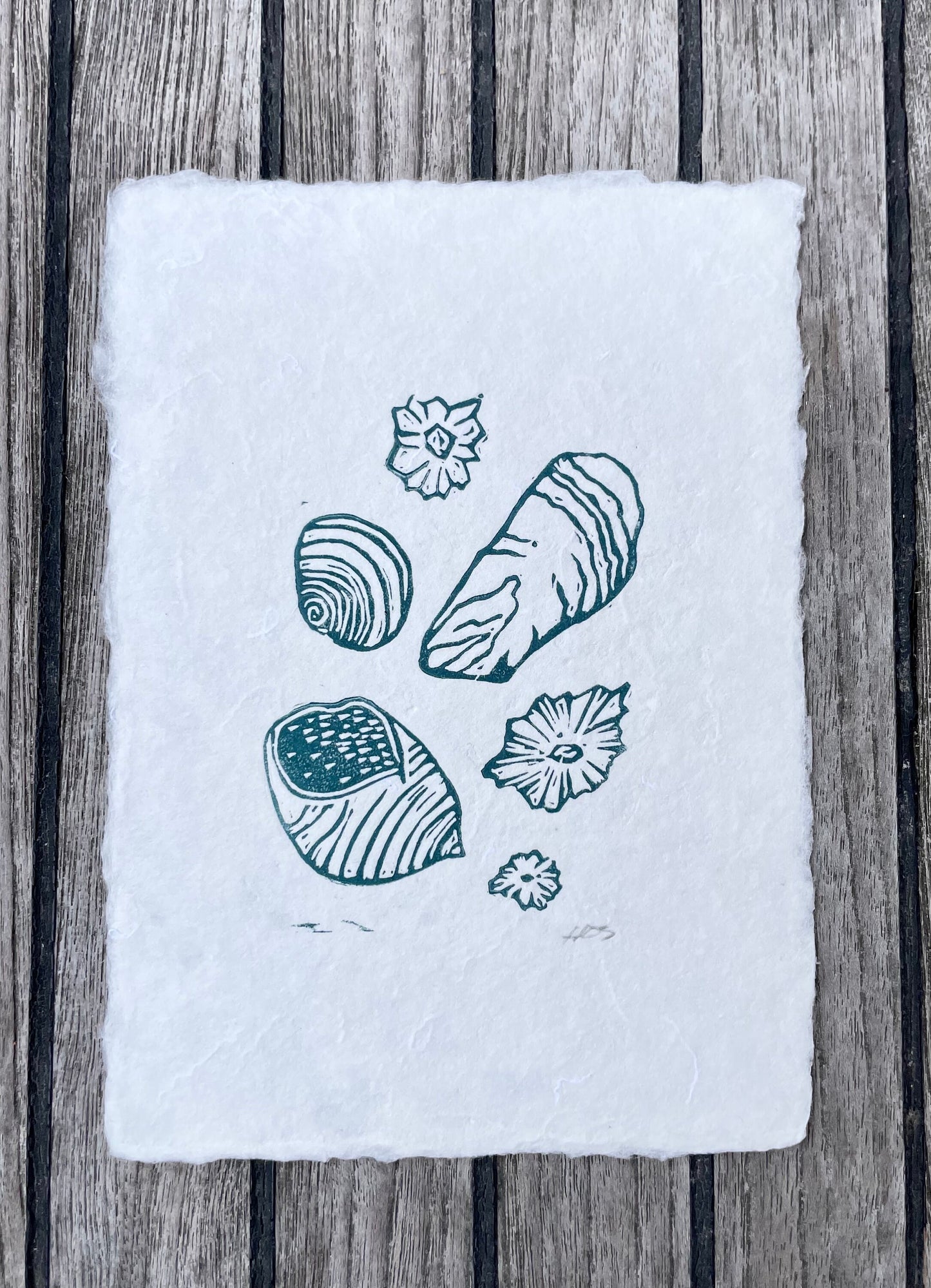 Shells and Barnacles Linocut Print