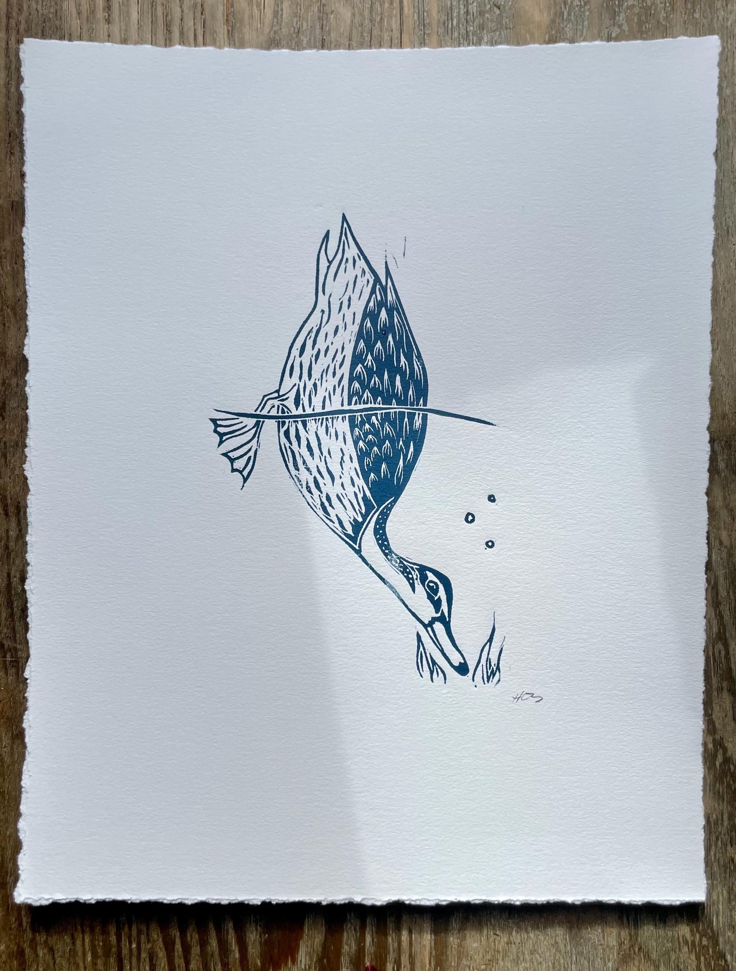 Diving Duck Linocut Print