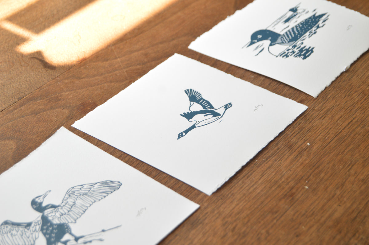 Bird Mini Prints