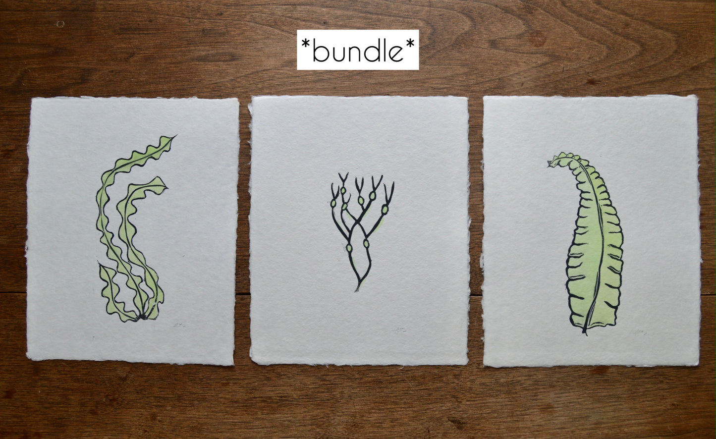 Seaweed Prints On Handmade Paper