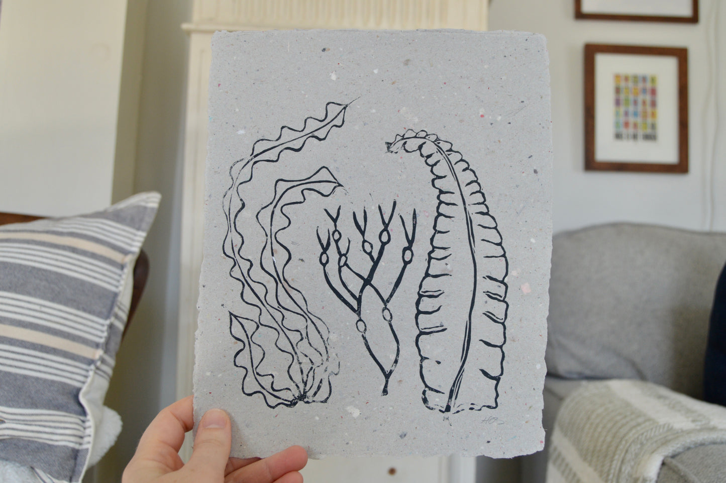 Seaweed Prints On Handmade Paper