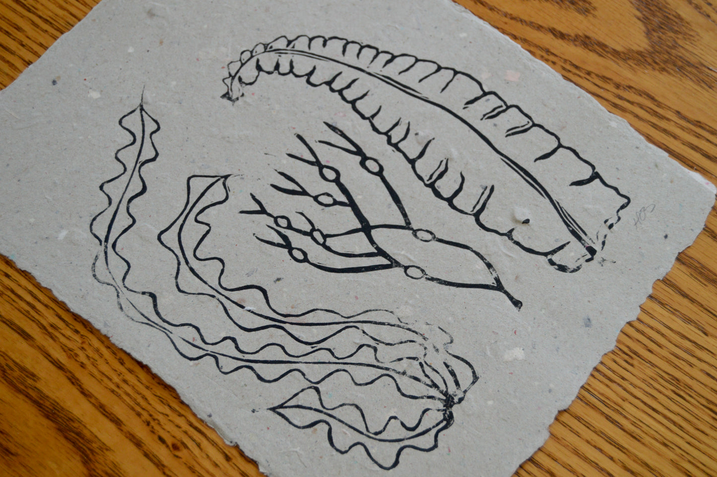 Seaweed Prints On Handmade Paper