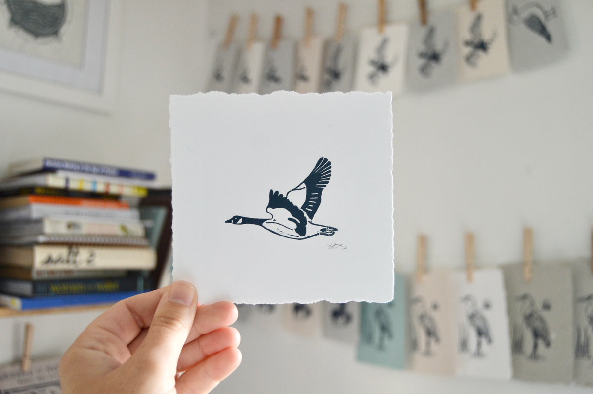 Bird Mini Prints