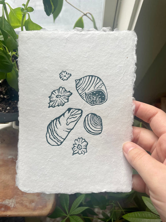 Shells and Barnacles Linocut Print